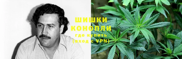 эйфоретик Пересвет