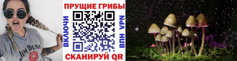 Псилоцибиновые грибы Psilocybe  Купить где  Зеленокумск 